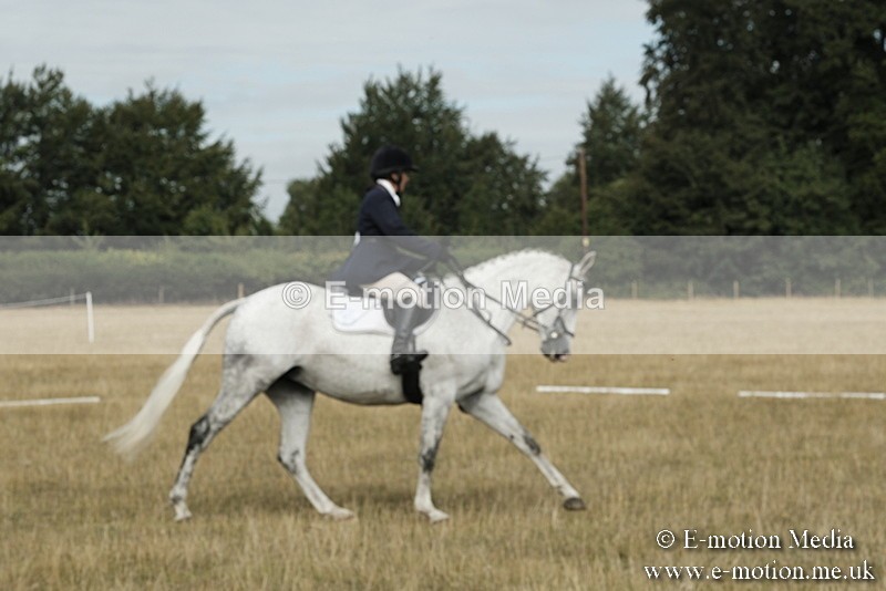 _PJP5660 - Dressage Classes BVRC Show 2018