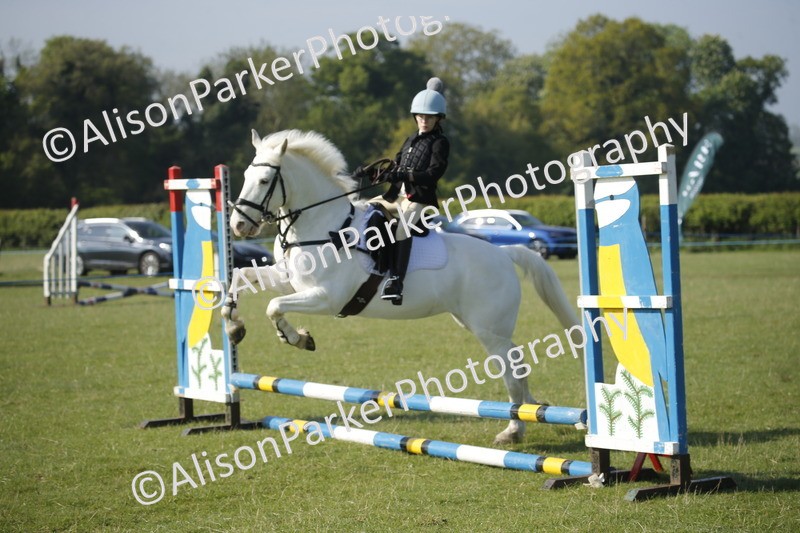 20250427-0264 - Class 12 - Rookie Jumping 40cm