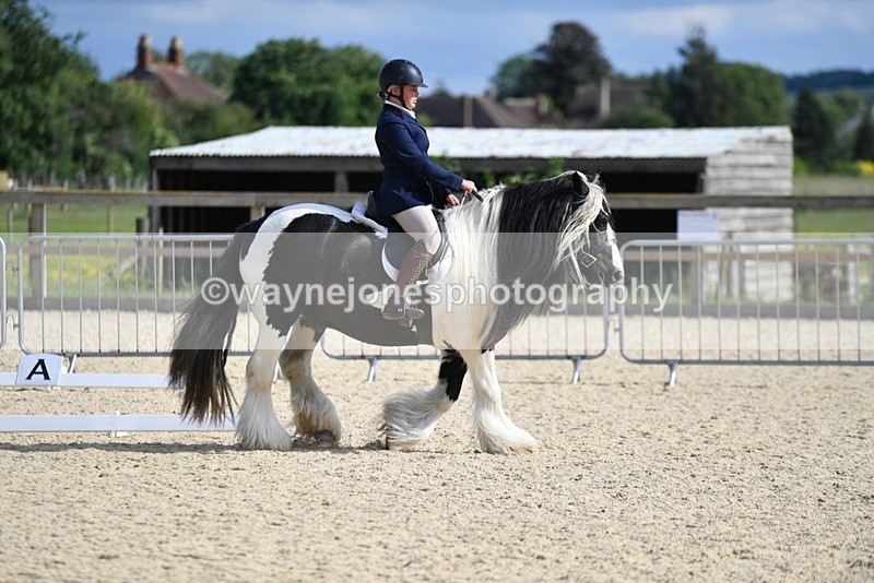 WJ5_7741 - Time 16:40 to 16:55