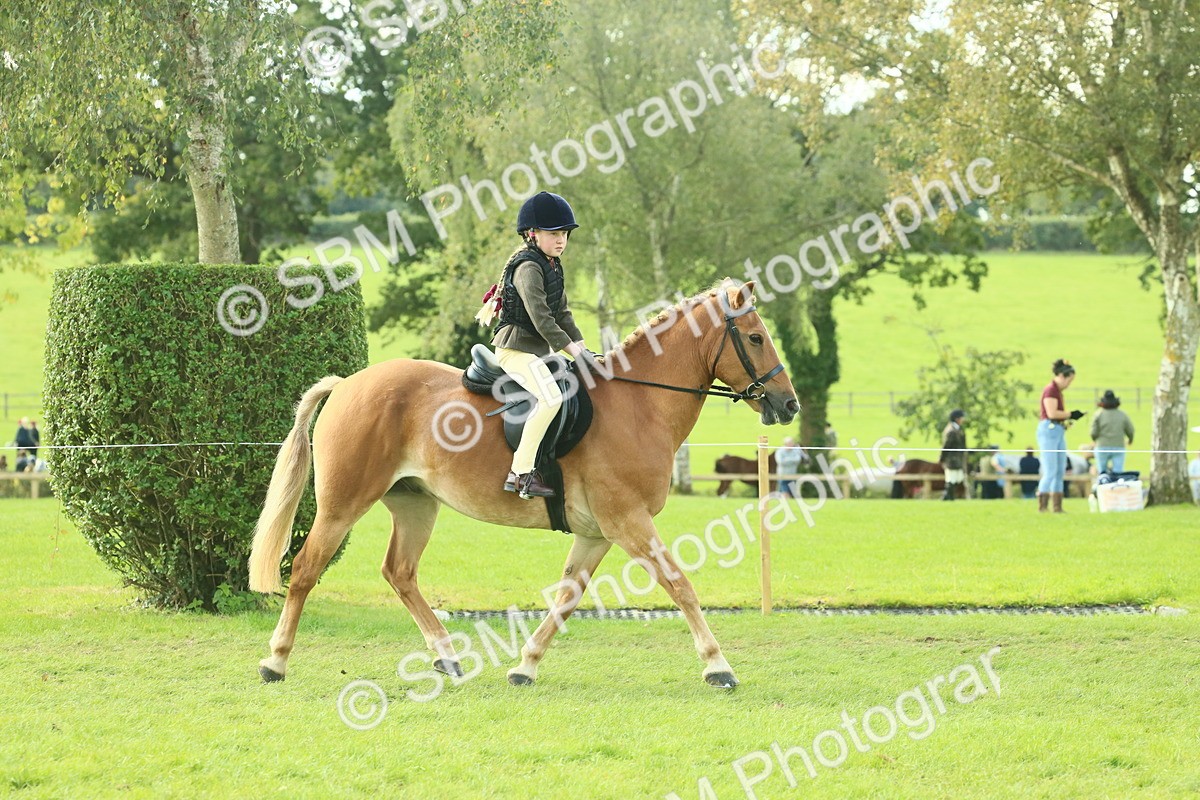 SBM_62418 - S62 - Foreign Breeds Ridden