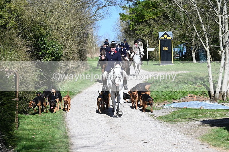 WJ7_9658 - Home for hunt tea !