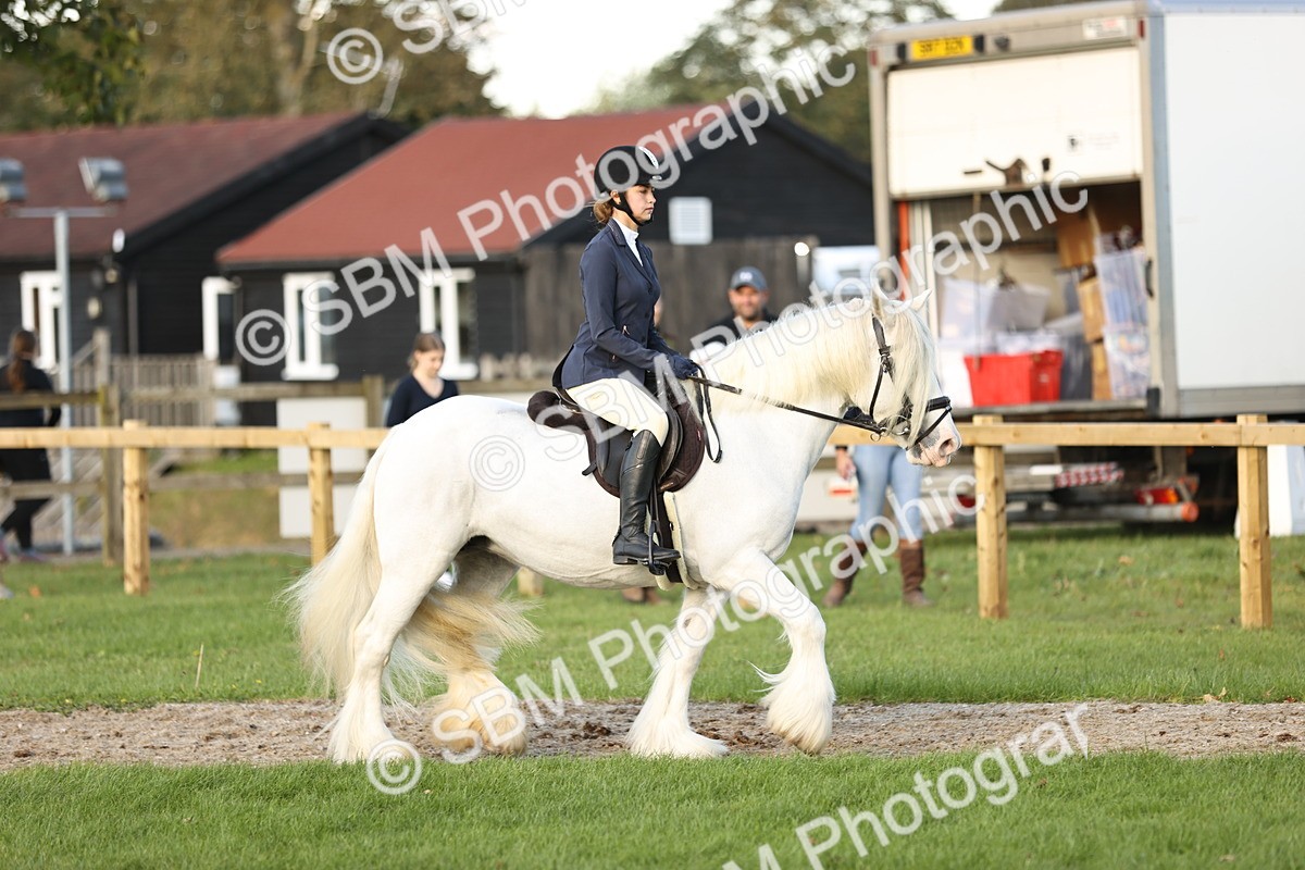 SBM_29537 - S7 - Novice & Newcomers Ridden Pony