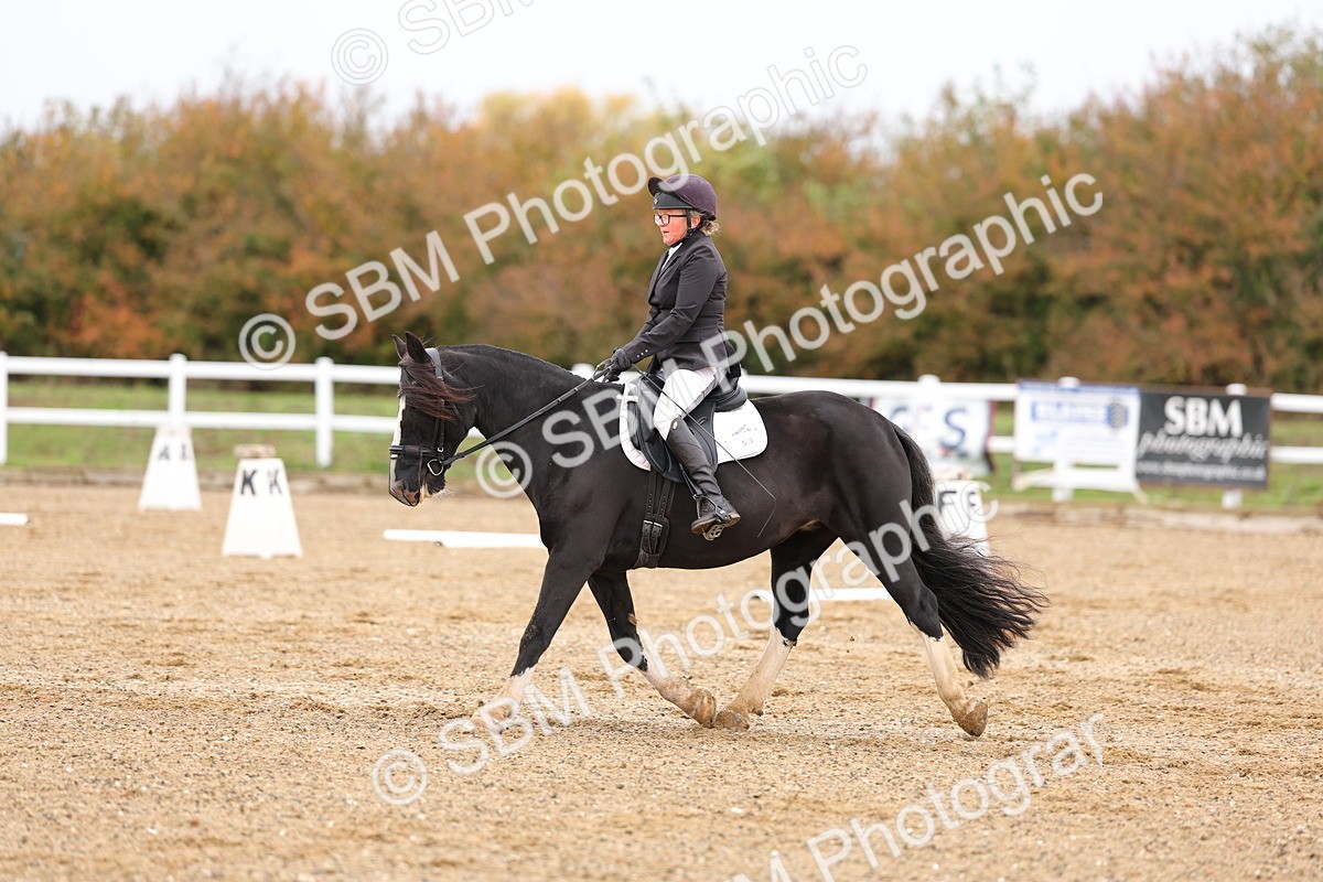 SBM_000137 - Intro 2
