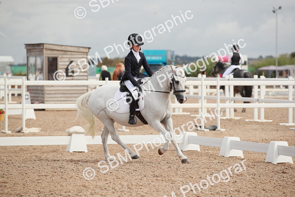 SBM_03984 - Class 31 - Prelim 1