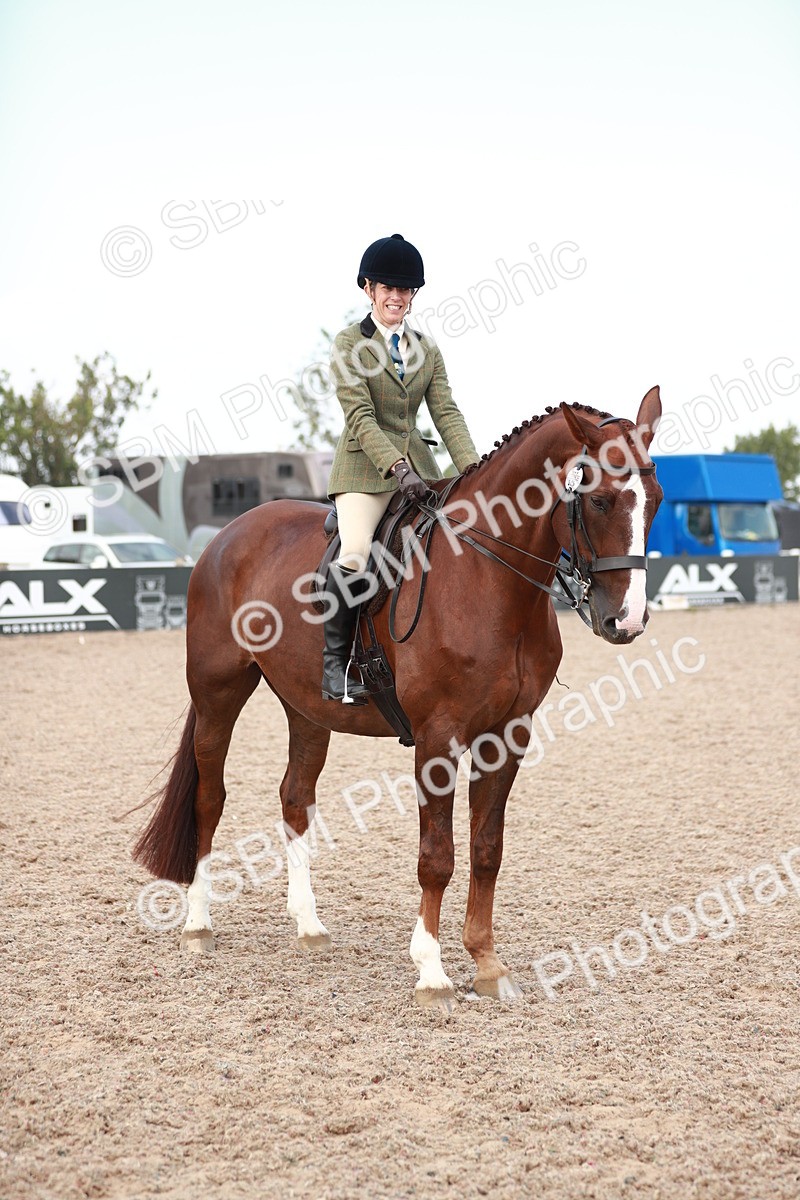 SBM_15524 - Class 213 Ridden Hunter -Large