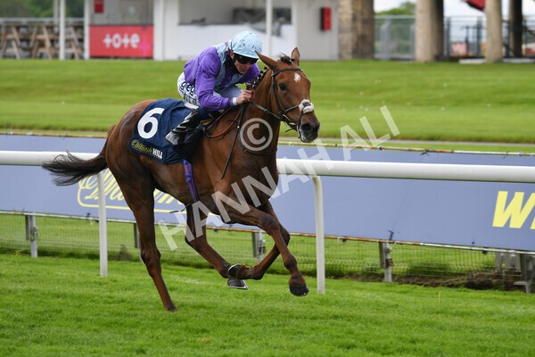 yr22052021r2-20 - Race 2 2.40pm William Hill Brontë Cup