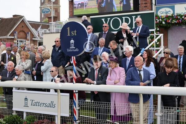 yr11052022r3-45 - Race 3 3.00pm 1895 Duke of York Clipper Logistics Stakes
