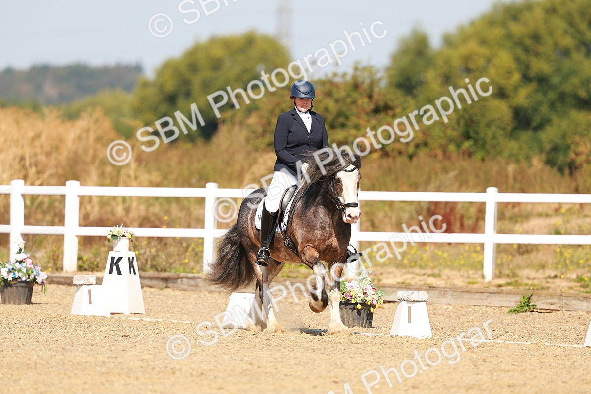 SBM_017776 - Class 9 - N5 Bronze 10.33.11.36