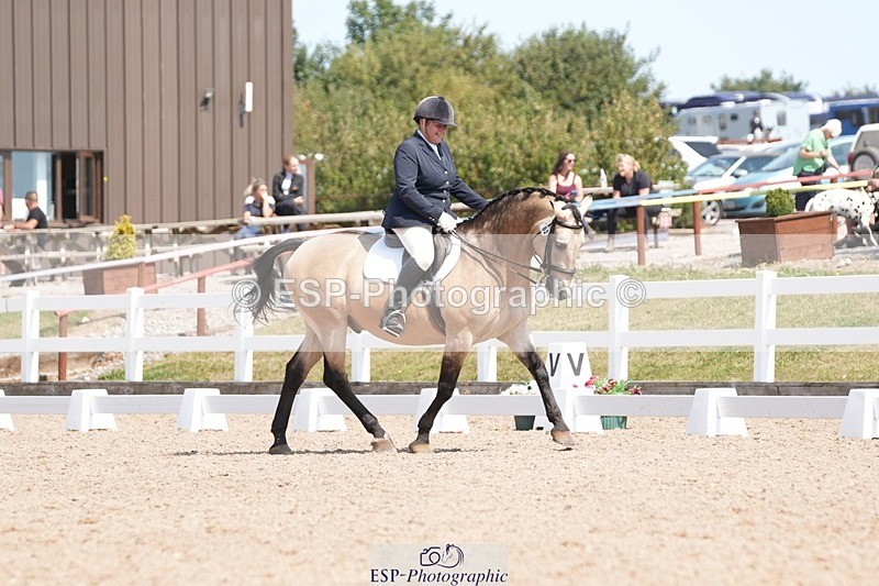 250817-130722-09232 - 082-Sarah.DavisWinston.Classic.Gold