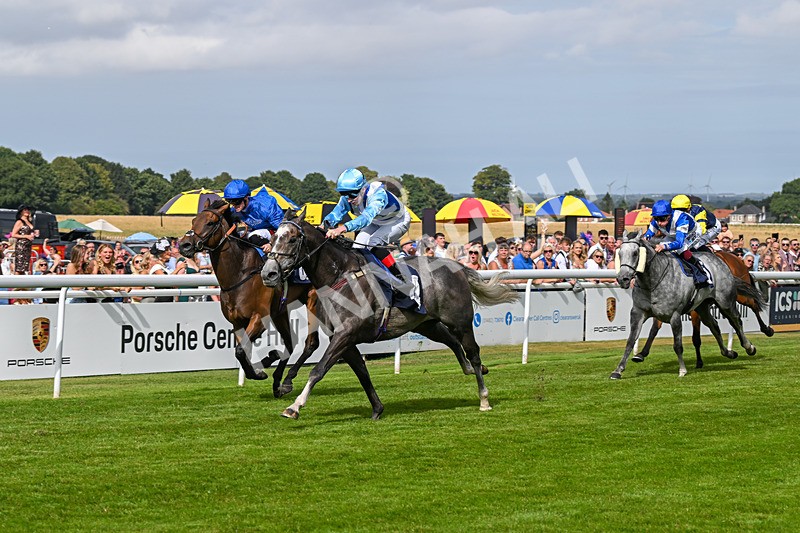 140824-Race 5-Havana Blue-6686 - Race 5