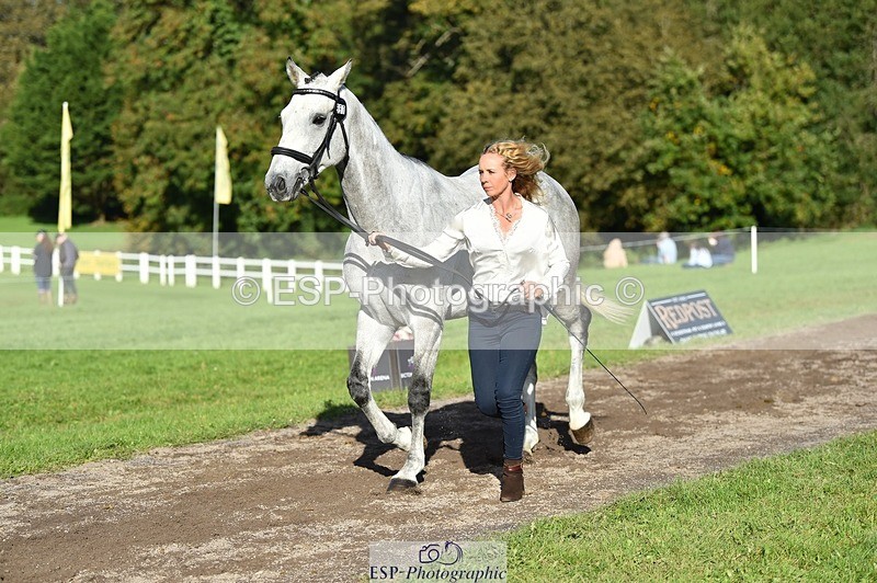 231022-112258-23924 - 557-KILBALLYBOY.SURPRISE-Courtney.Romcke-TrotUp+SJ