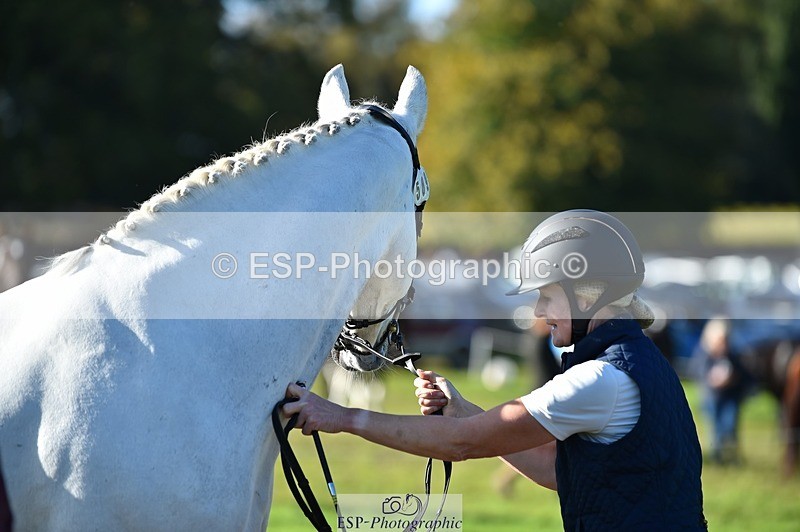 231022-110156-23672 - 509-WOODLANDS.SILVER.CLOUD-Karen.Cowling-TrotUp+SJ