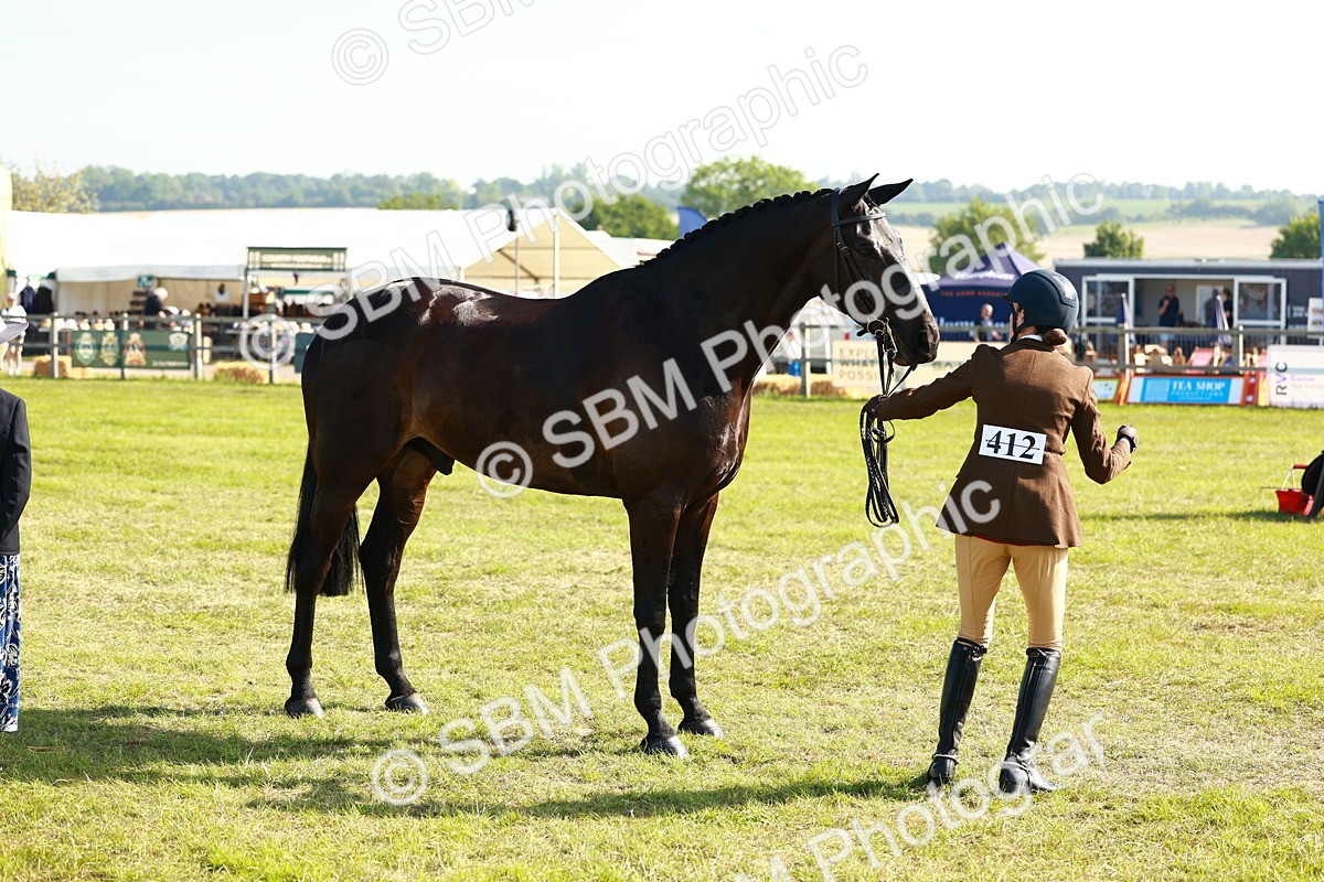 SBM_10938 - Class 66-69 - RIHS Ridden Hunters Inc Small Hunter