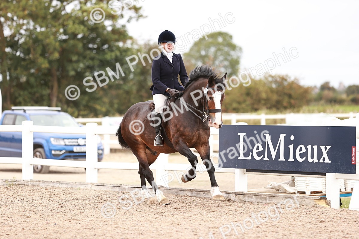 SBM_18955 - Class 422 - Ridden M&M