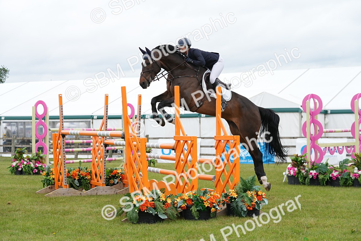 SBM_03063 - Class 201 - British Horse Feeds Speedi Beet Horse of the Year Show Grade  C
