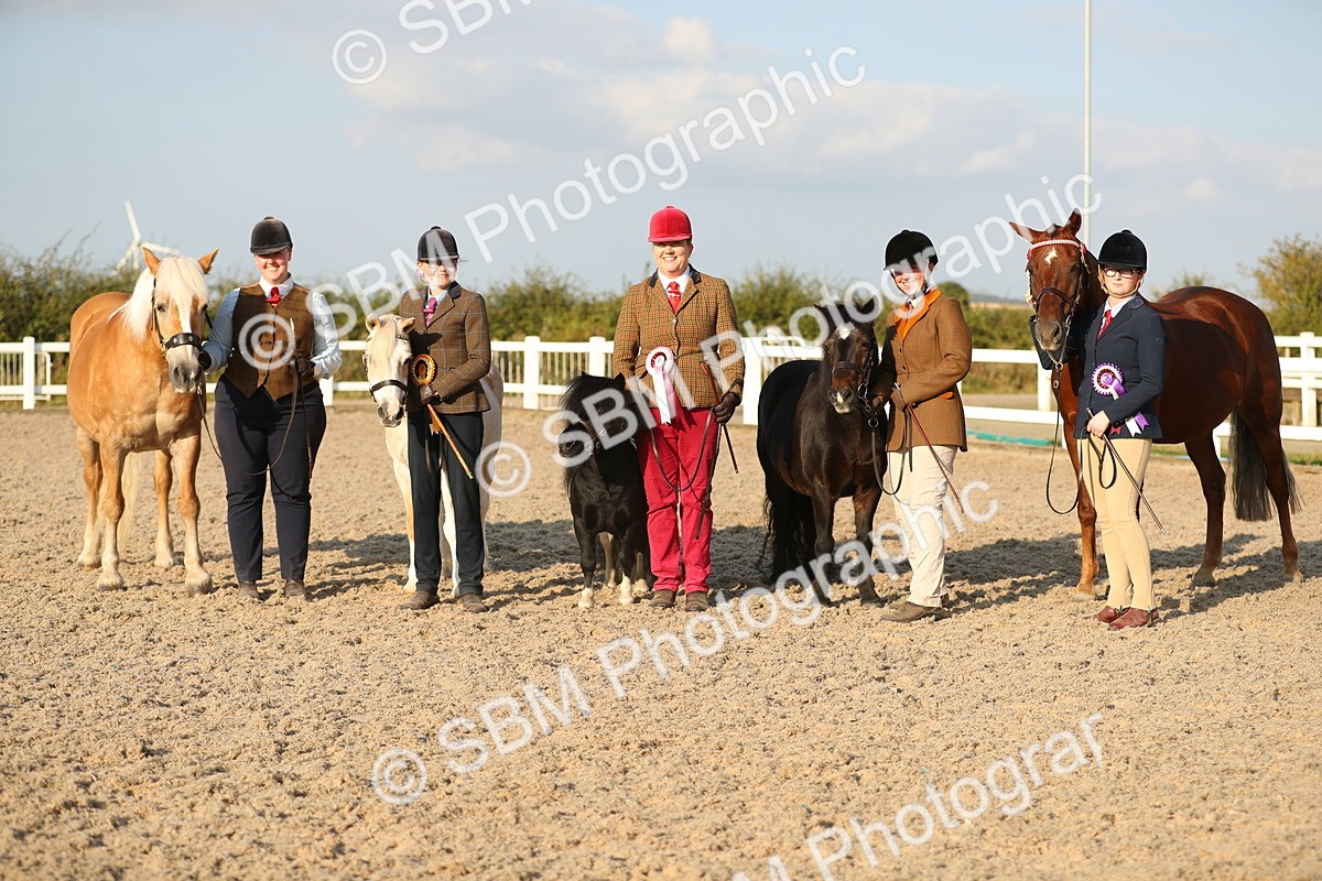 SBM_09155 - Class 29 IH Veteran Pony