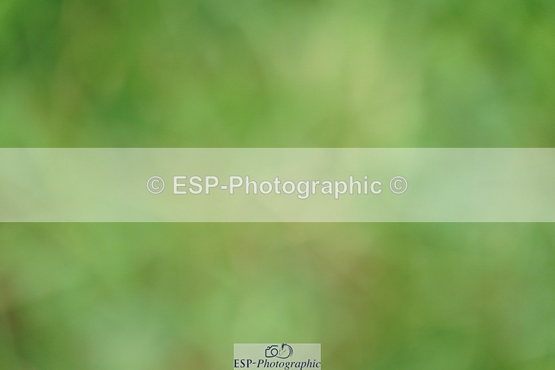 240802A-161122-05719 - Cls 19 National 1.30m Open