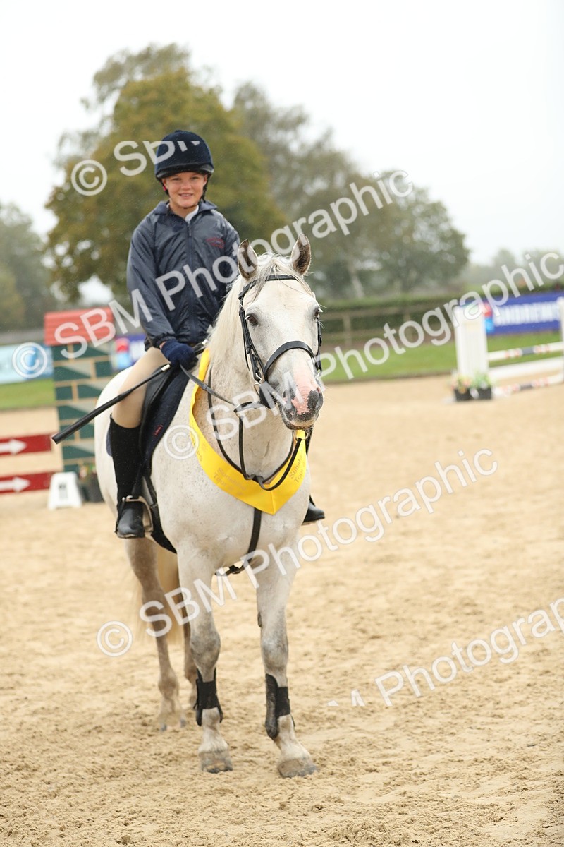SBM_74102 - J16 - Junior Pony 75cm Championship