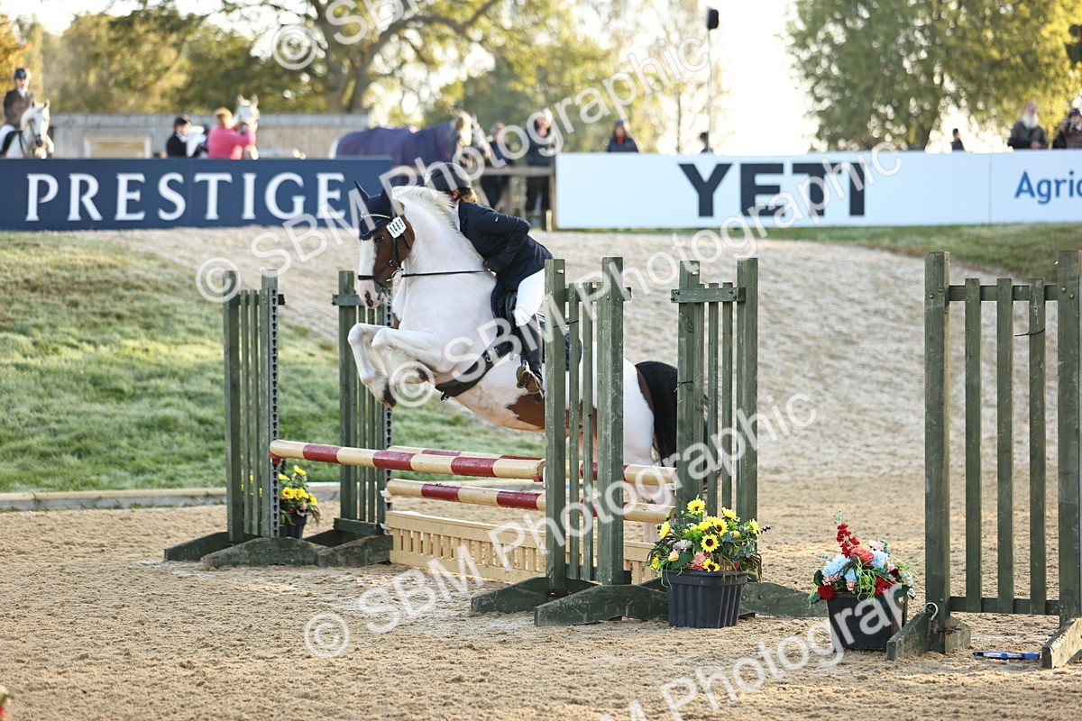 SBM_33004 - J38 - Senior 80cm Championship