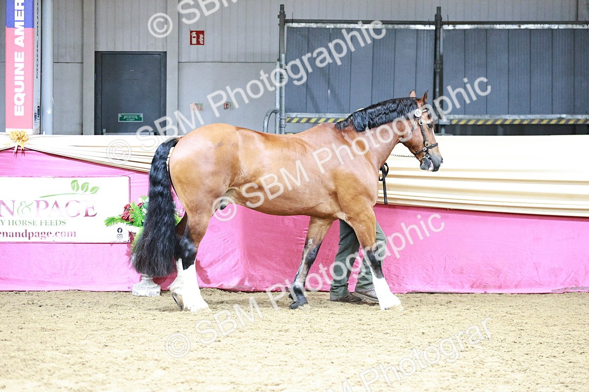 SBM_01124 - Class 3A - Area IH Pre-Vet