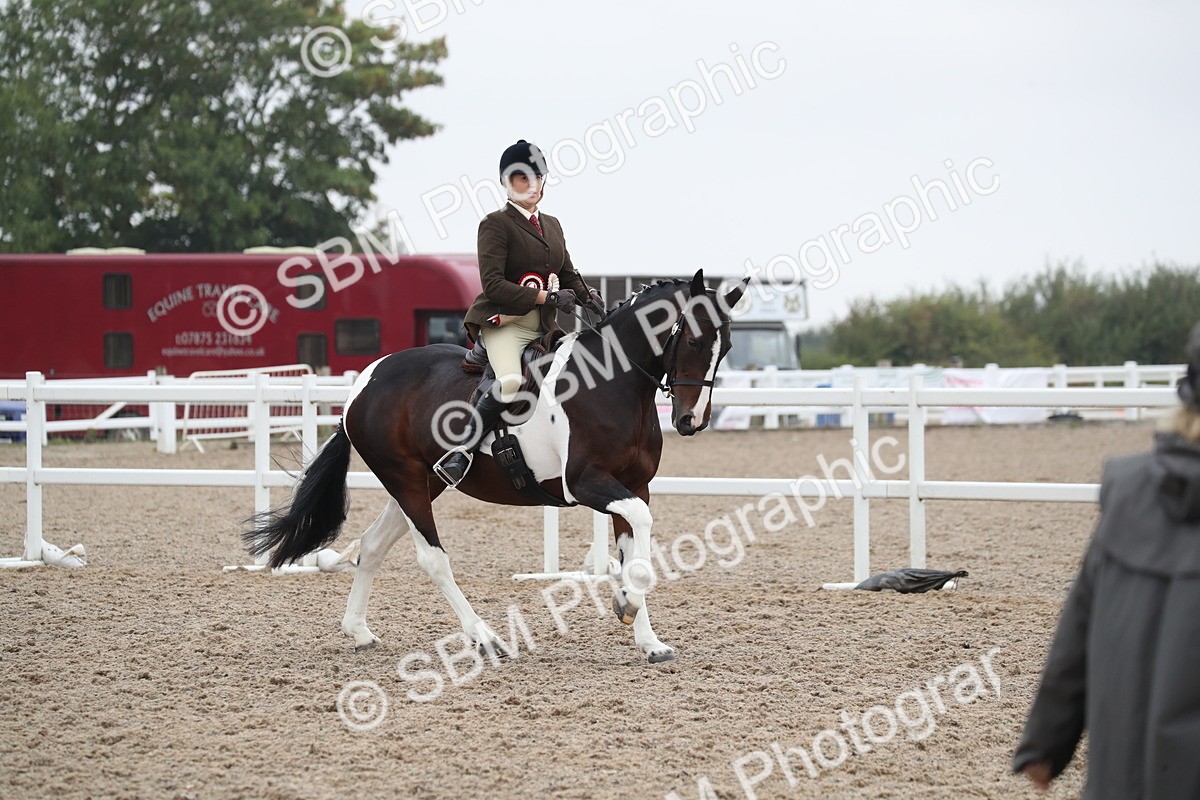 SBM_22073 - Class 603 - 2025 Area Ridden Pre Vet
