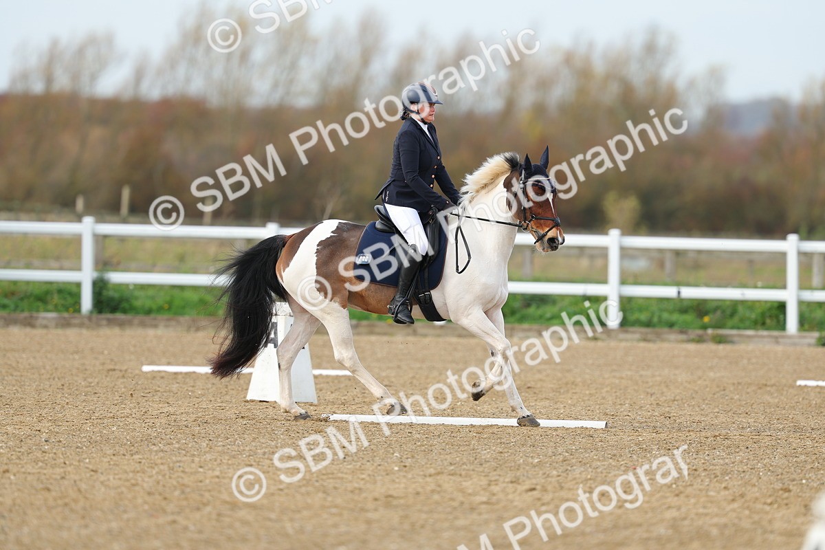 SBM_003619 - Class 6 - Novice 2