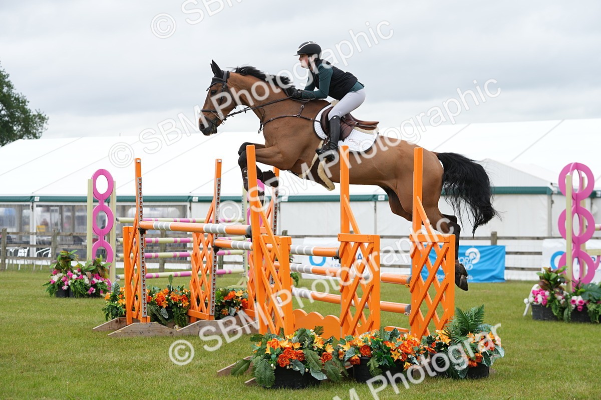 SBM_03482 - Class 201 - British Horse Feeds Speedi Beet Horse of the Year Show Grade  C