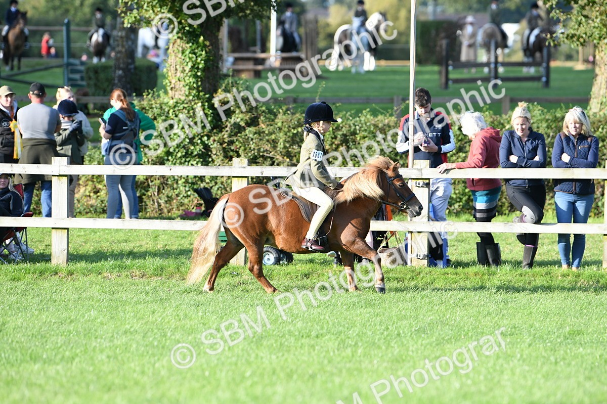 SBM_54075 - S23 - 1st Ridden Mountain & Moorland Pony