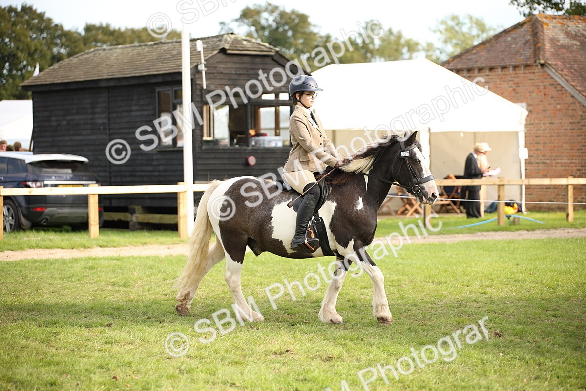 SBM_54242 - S27 - Mature Veteran - Ridden