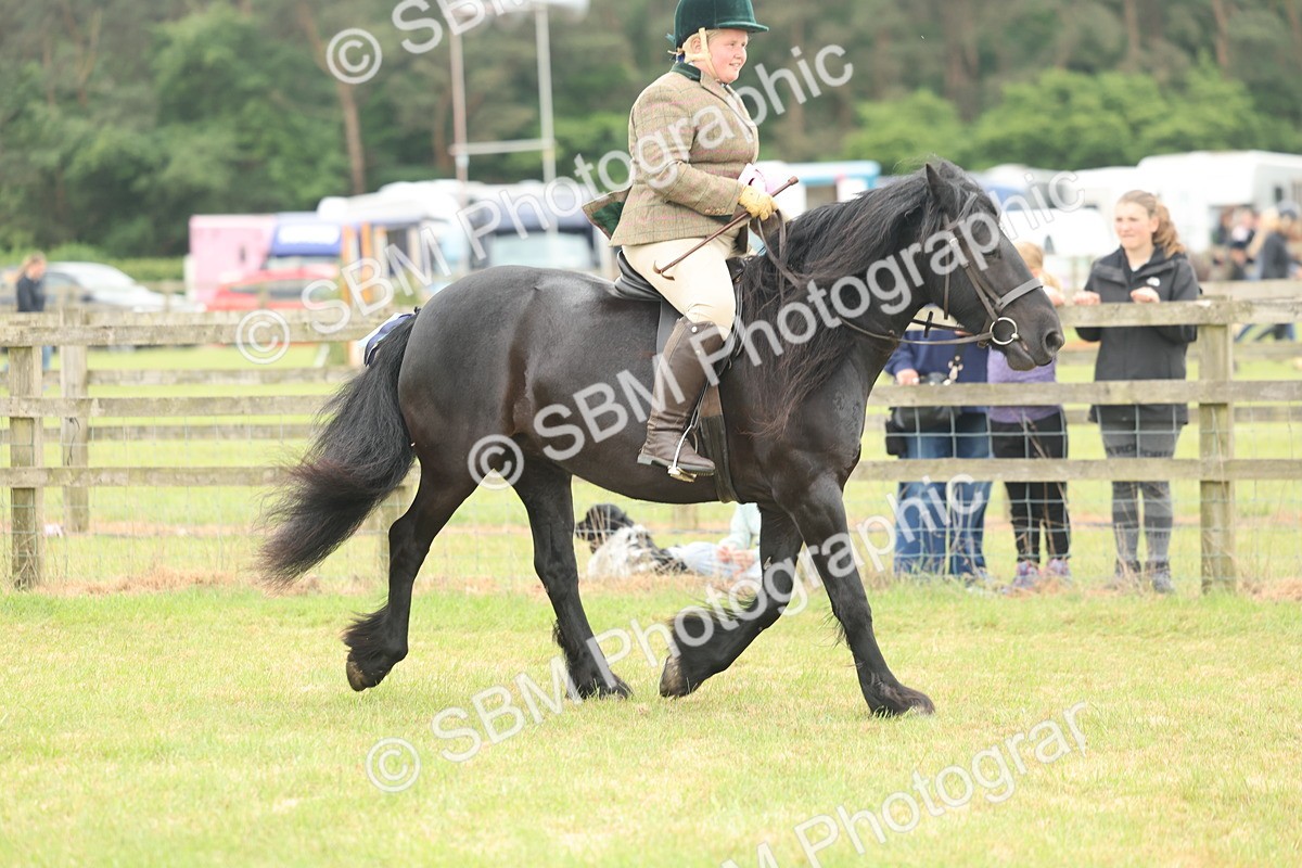 SBM_09072 - Class 78-80 - Ridden M&M Non Welsh Ponies
