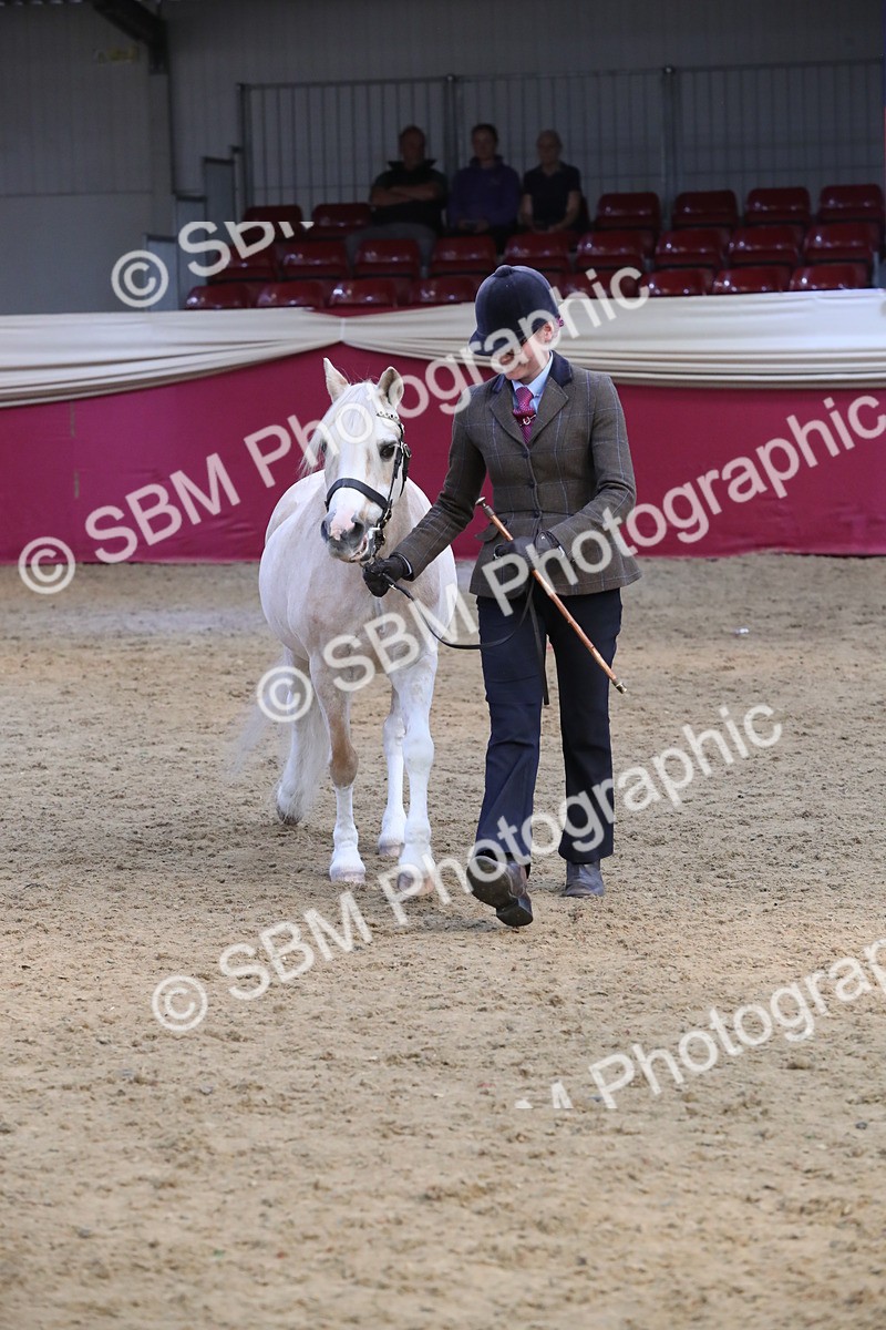 SBM_17203 - M&M Supreme Final Champ