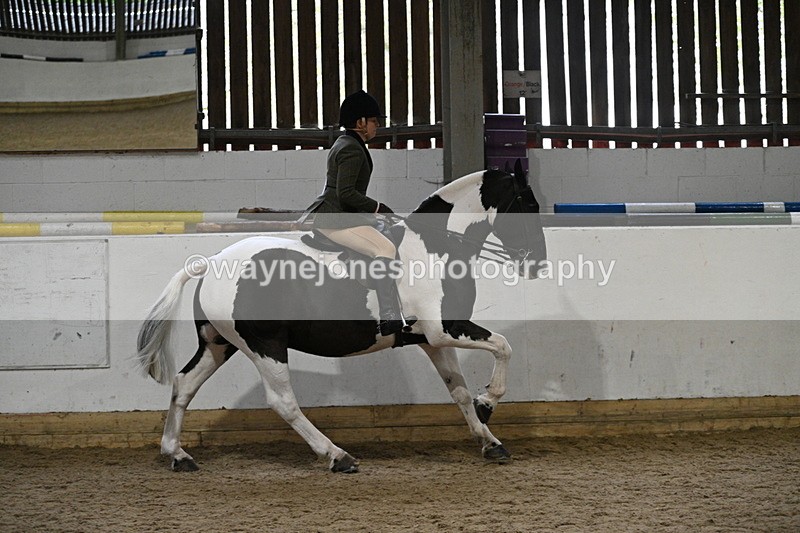 WJ7_3886 - Class 17 Ridden Cob