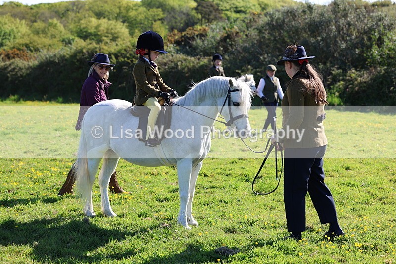 3E7A8689 - Class 2: Lead rein