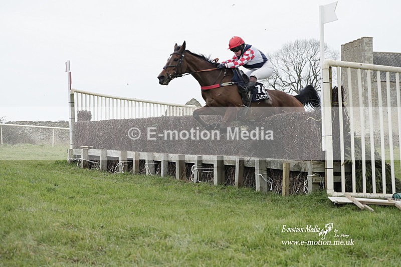 PtP 040323 484 - Duke of Beauforts Hunt Point-to-Point Didmarton 04/03/23