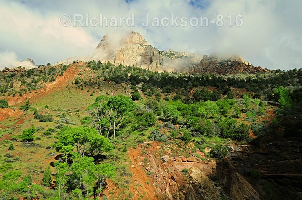 Image #6 - Zion National Pk.- 2011