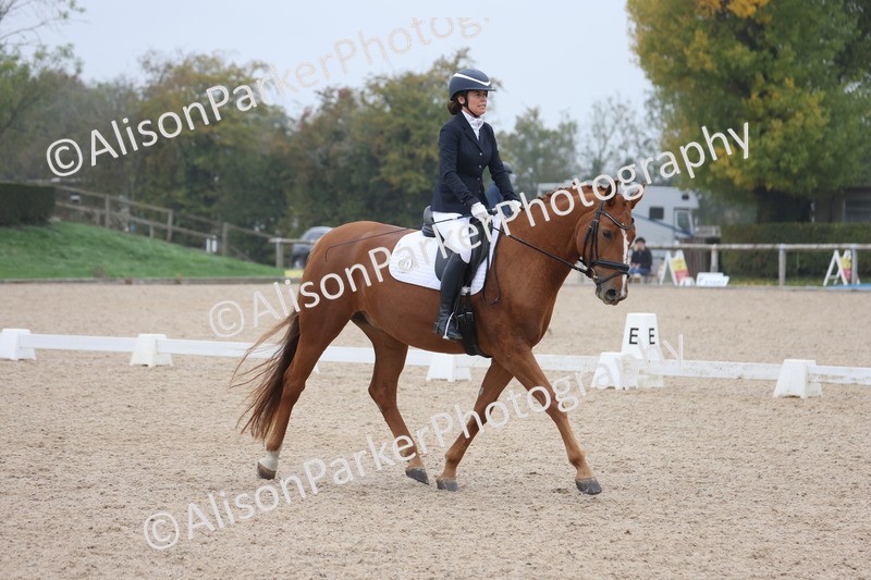 20251012-0543 - Class 4 - Novice 6