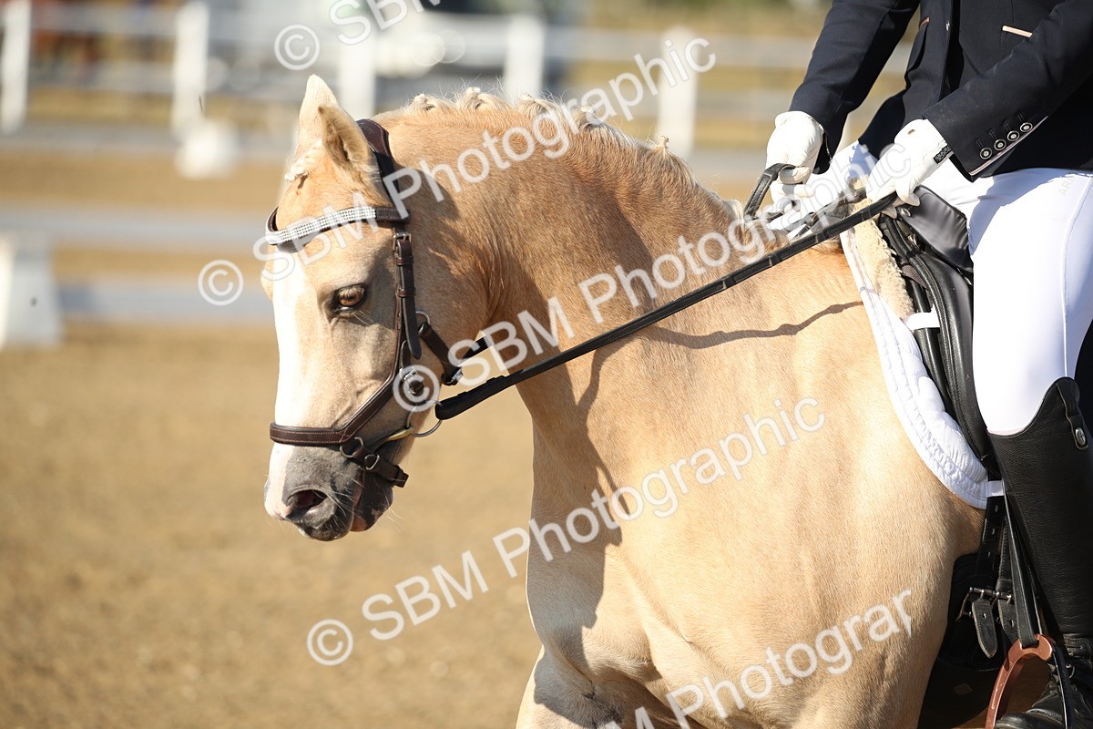 SBM_004459 - Class 11 - Novice 5 - 9.0010.03