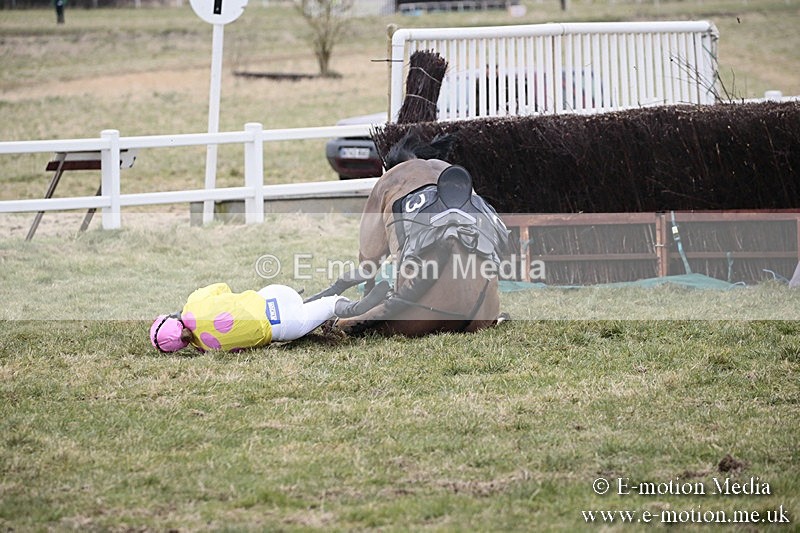 PtP 180218 281 - Combined Services Point-to-Point Larkhill 18/02/18