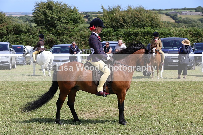 1X9A5396 - Class 37: NPS M&M First Ridden