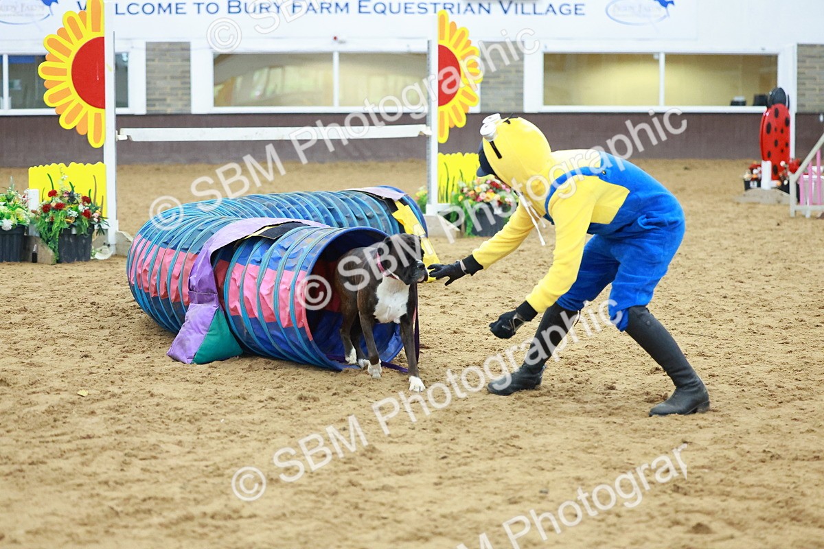 SBM_002246 - Class 3 - Horse & Hound (60cm)