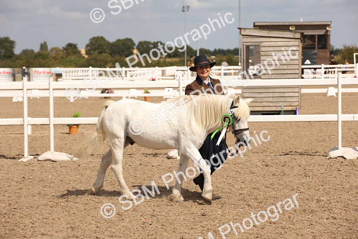 SBM_03809 - Class 19 Judge's Favourite