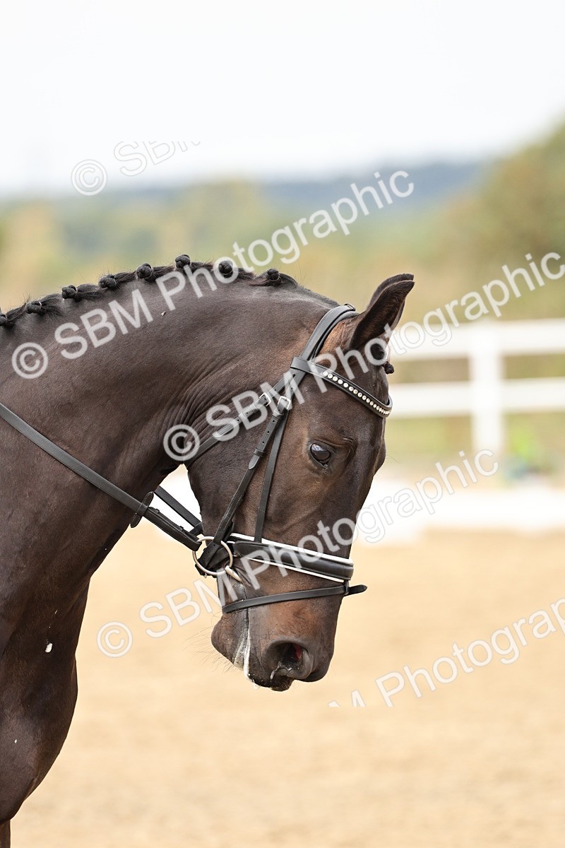 SBM_013269 - Class 3 - Novice 4 - 11.43-12.25