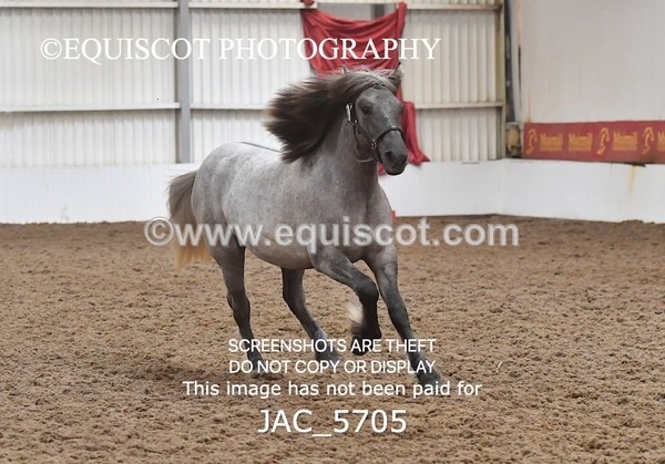 JAC_5705 - 6 Glenmuir Niamh