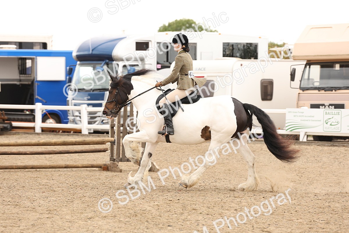 SBM_06697 - Class 58a -  Style & Performance - 70cm (15-19)