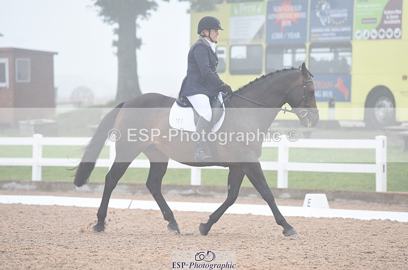 230708A-150036-03190 - Novice 24