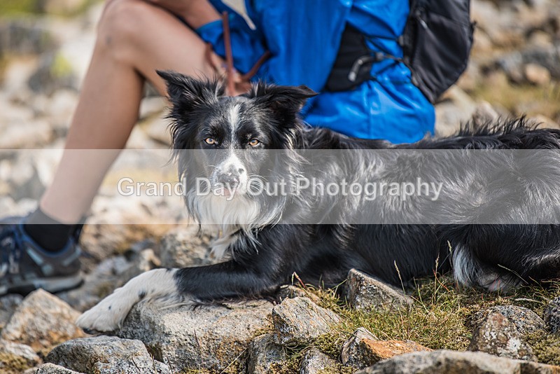Ennerdale-34 - Ennerdale Horseshoe Fell Race Saturday 10th June 2023