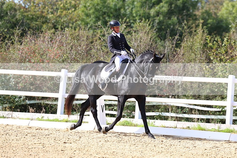 3E7A9772 - Class 13: FEI Prix St Georges 2026