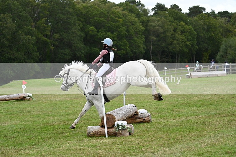 WJ7_8460 - 60cm Time 12:11 to 12:30