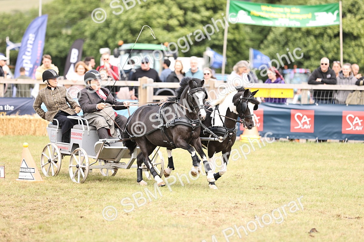 SBM_16077 - Class 91 - Scurry  exceeding 122cms