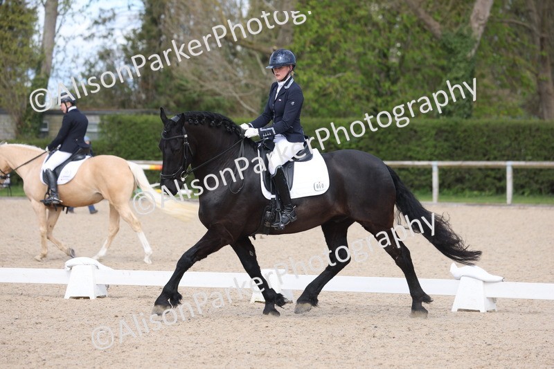 20260405-0227 - Class 3 - Novice 5